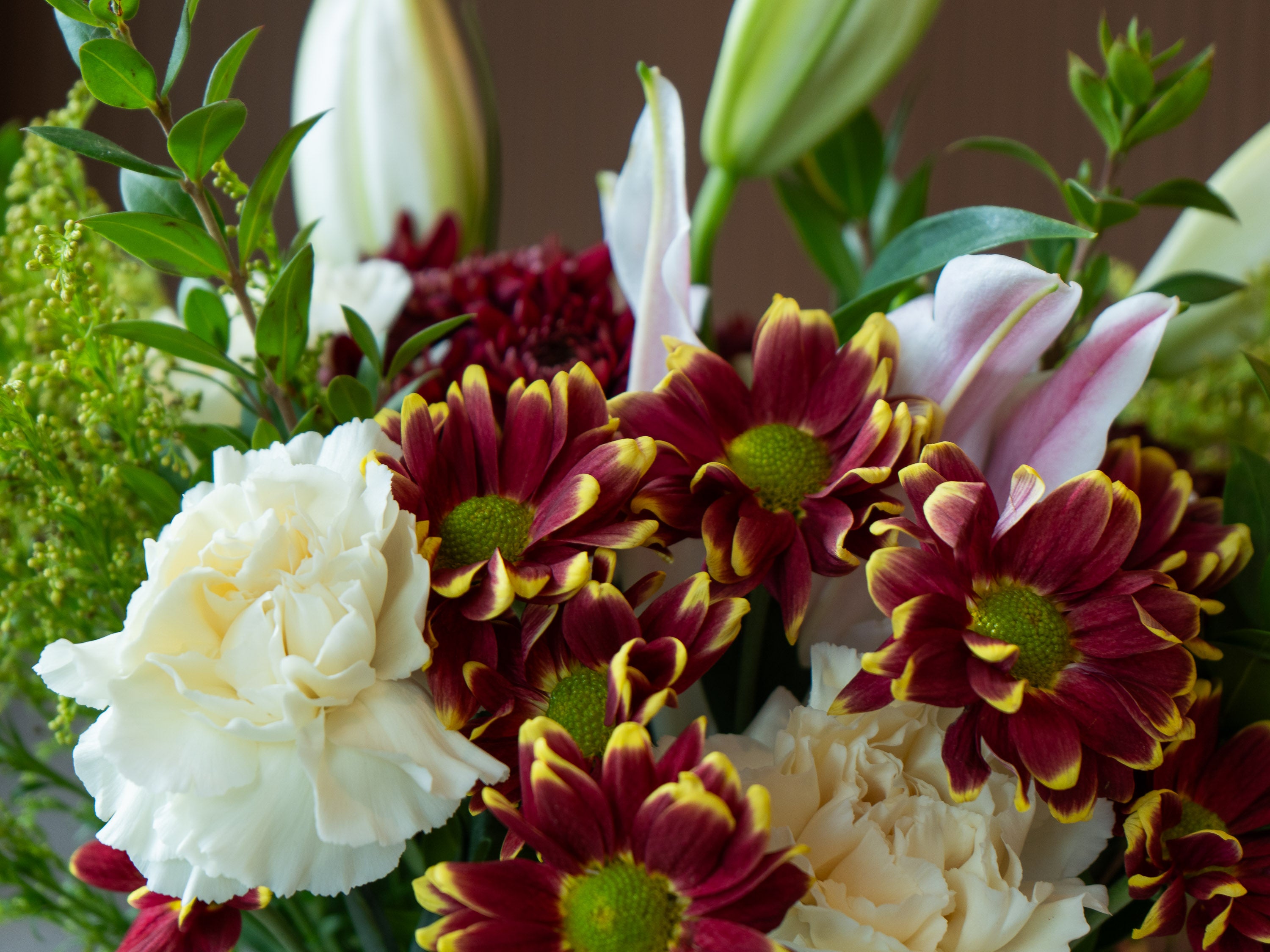 Mount Pleasant Bloom