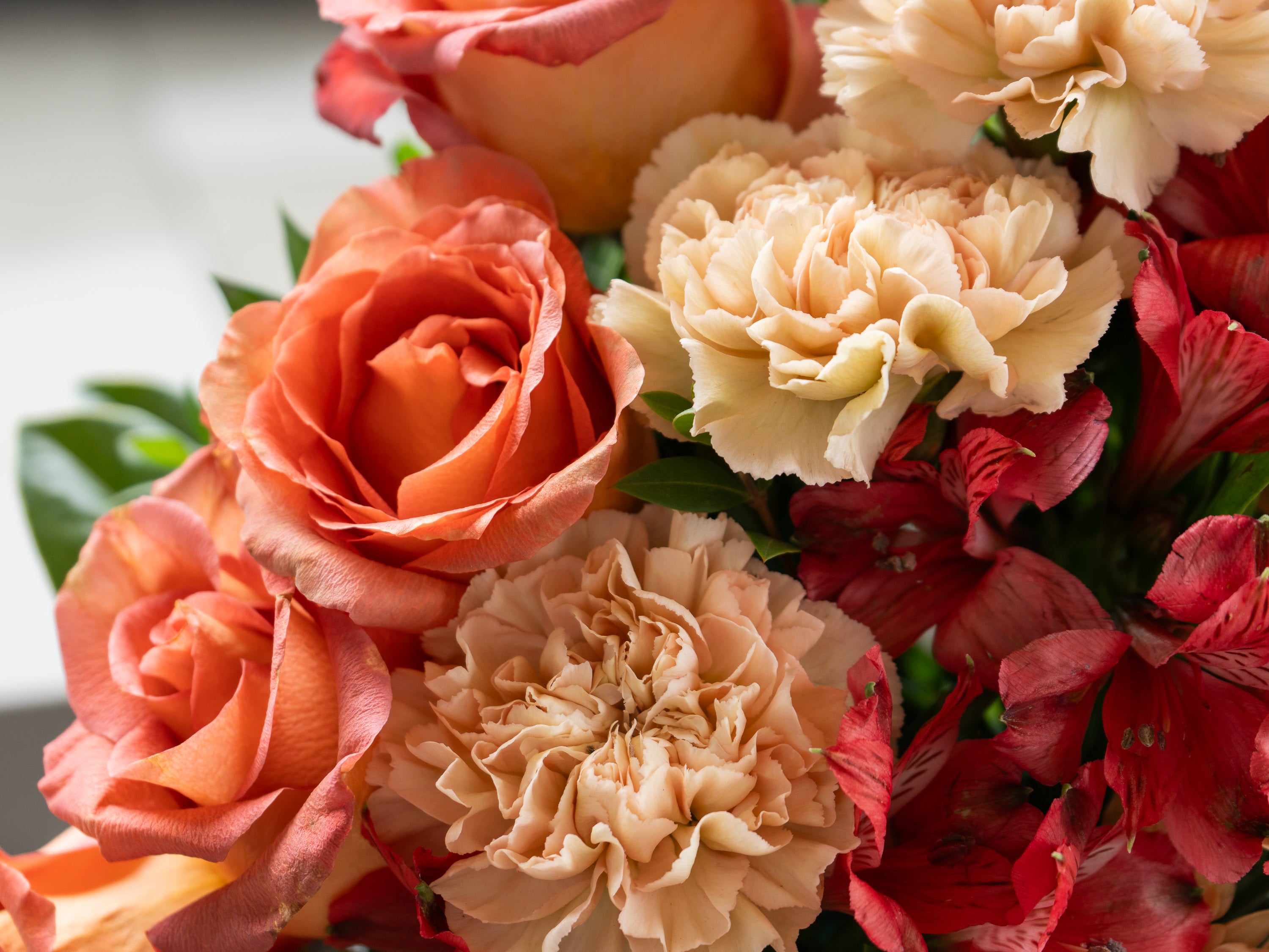 South Granville Ember