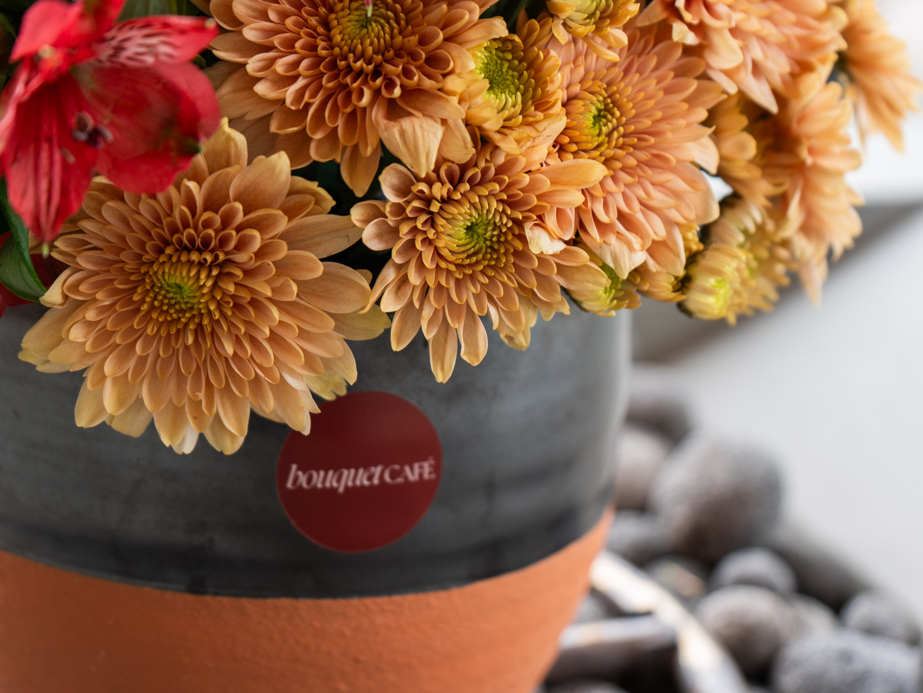 South Granville Ember