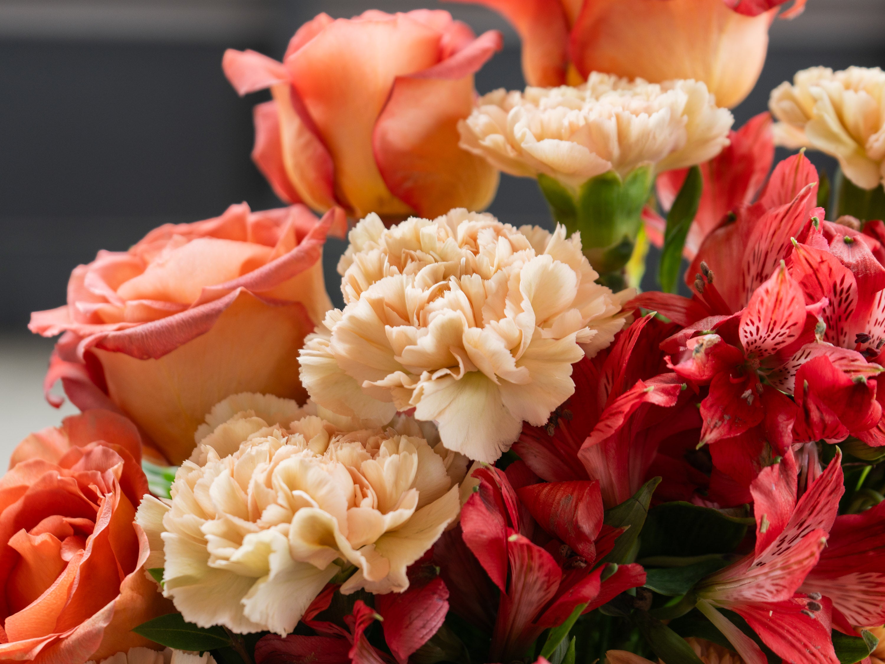 South Granville Ember